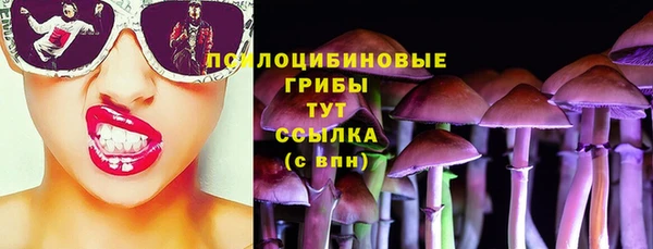 прущий лед Вяземский