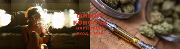 стафф Вязьма