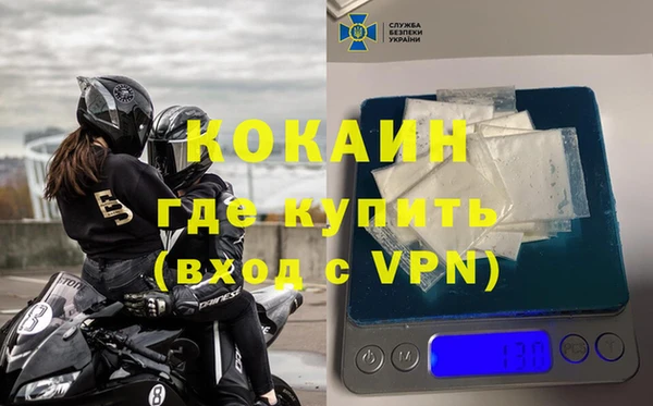 стафф Вязьма