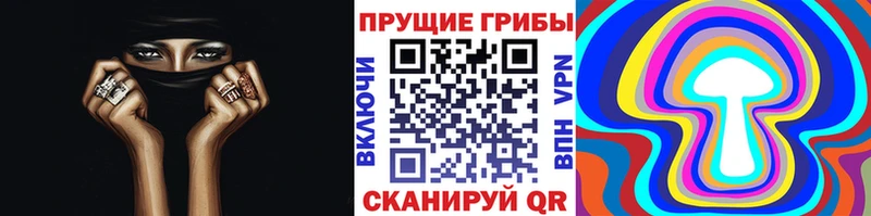 Псилоцибиновые грибы Psilocybe  купить наркотик  Ишимбай 